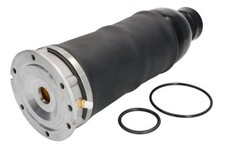 Magnum Technology MZA008MT Air Spring Strut for AUDI