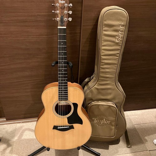 Taylor mini 2022 - gs,