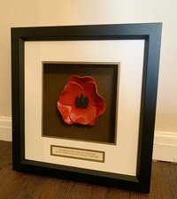 Commemorative Poppy in a 3D Frame