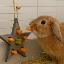 Trixie Play and Snack Star Rodents Small Animals Birds Fillable Toy Hook on Cage