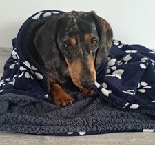 Handmade Snuggle bag/sack. Size M 60x70cm Washable 30℃, Reversable