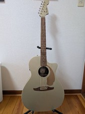 Fender Newporter Player