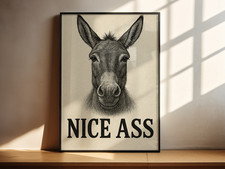 Funny Donkey Wall Art Print