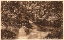 Midhurst Dunford Hollow Sussex