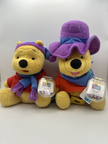 Winter and cowboy winnie the - winnie,