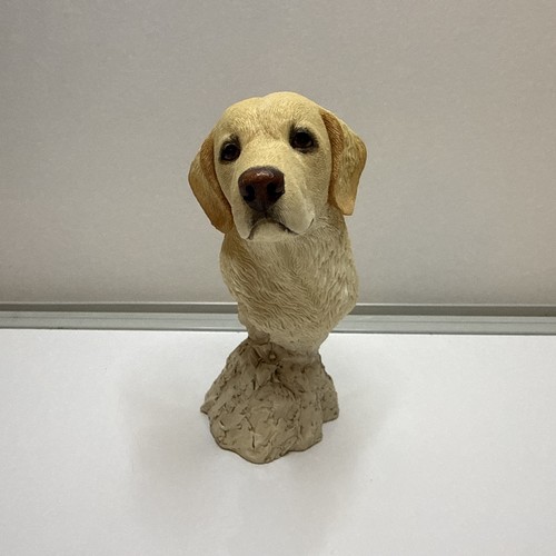 Sherratt simpson labrador - sherratt,