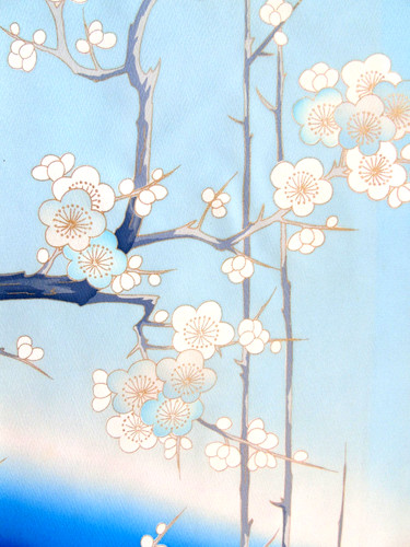 Ayane ume plum blossoms - ume-plum,