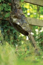 Thinking Anglers Camfleck 10ft