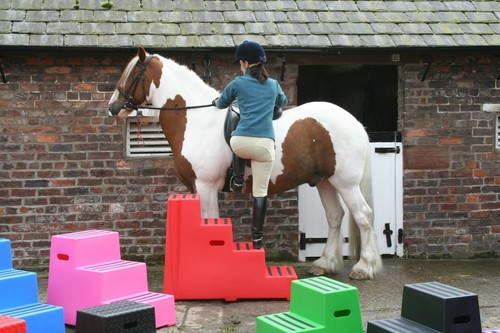 Heavy duty step horse - 4,