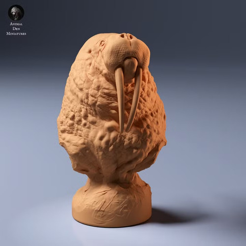 Walrus bust printed - walrus, 3d