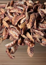 Unroasted Areca Nuts 50g/ Betel Nut cutting Nut