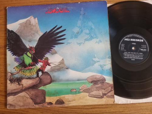 Budgie never turn - budgie,