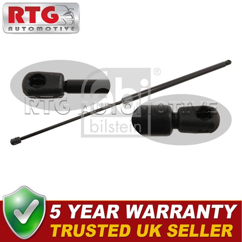 Tailgate gas strut - gas, ford