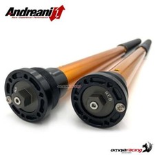 Andreani Rally Race cartridges