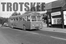 35mm Negative Potteries PMT