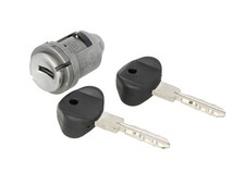 Steering wheel lock insert