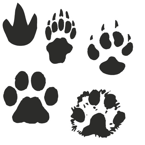 Animal tracks paw hoof - paw, claw
