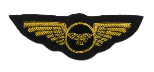 Badge pilot wings gold - pilot,