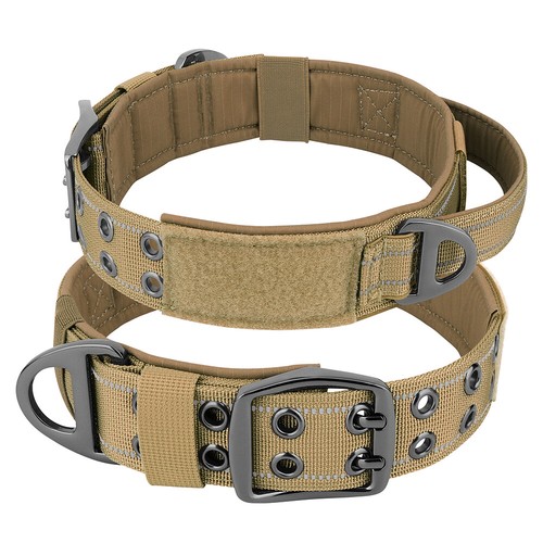Dog collar with handle - collar, heavy