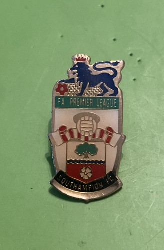 Southampton 1996 season - southampton, fc