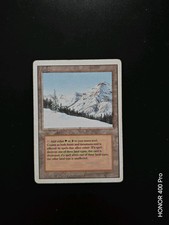 MTG Magic: The Gathering Taiga