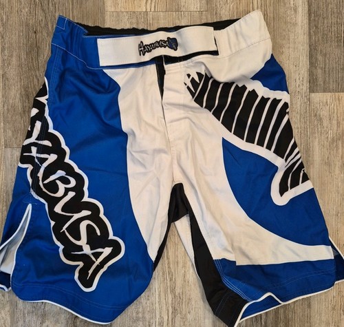 Hayabusa mma fight - mma,