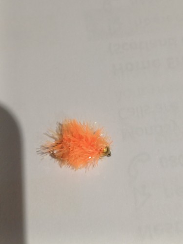 Fluo orange jelly fritz - fluo,