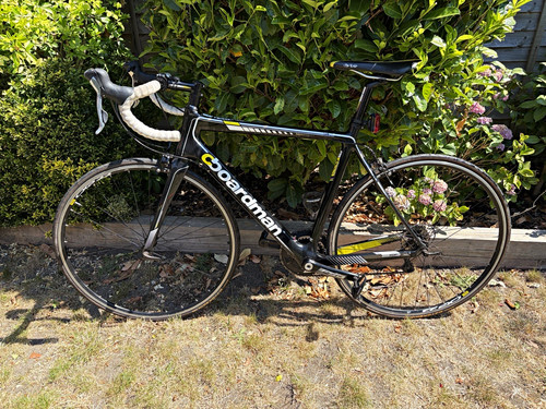 Boardman team carbon road bike - boardman,