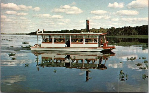 Postcard cruise aboard gator - postcard,