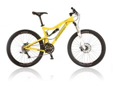 Frame Pivot Bearing Kit |