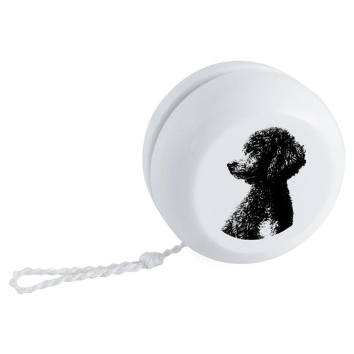 Miniature poodle portrait - 'miniature, portrait'