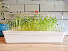 Vaxer propagation station - vaxer,