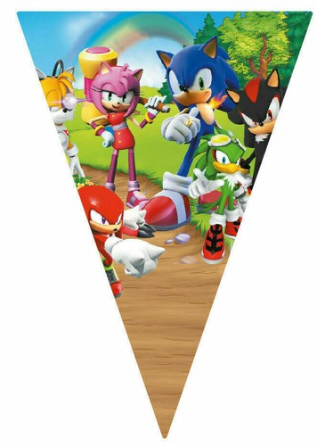 Sonic the hedgehog flags - the,