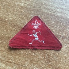 Vintage Scout Badge. Nylon