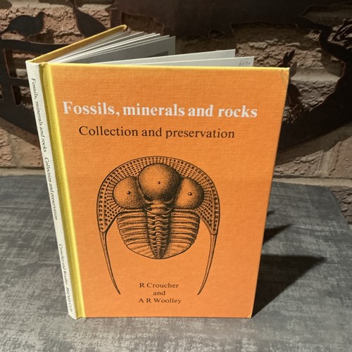 Fossils minerals and - fossils, rocks