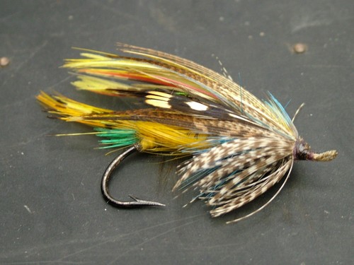 Irish pattern gut - eyed, salmon