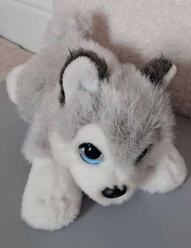 Keel toys husky plush toy - keel,