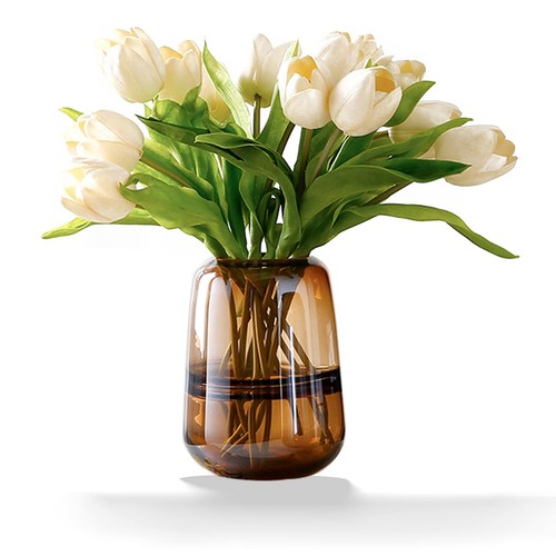 Amber rxcvkmw modern - -,