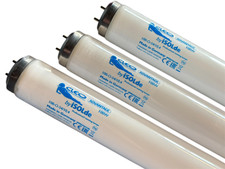 Isolde Tanning  Lamps CLEO