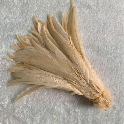 Long rooster tail feathers - long,
