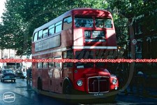 Bus Photo - London Transport