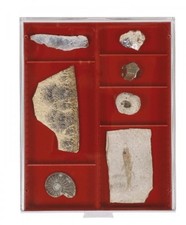 Lindner - 2402 - Standard