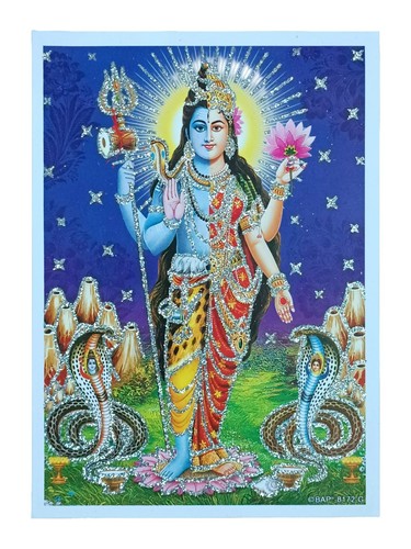 Ardhanarishvara hindu god - hindu,