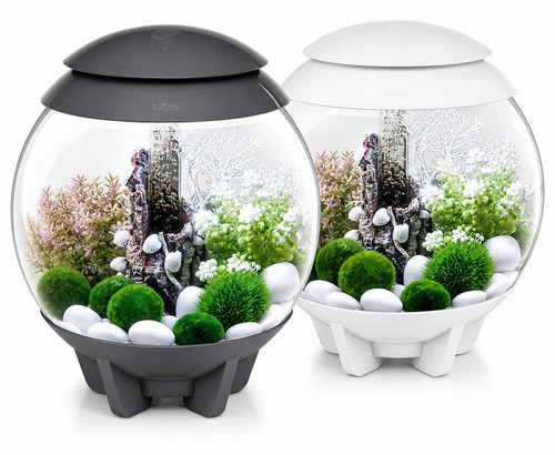 Oase biorb 15l halo - 15l, multi