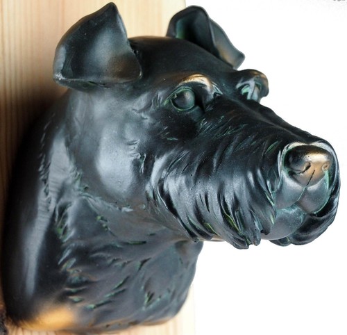 Highland terrier dog head - highland,
