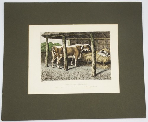 Samuel howitt 1809 dog - 1809,