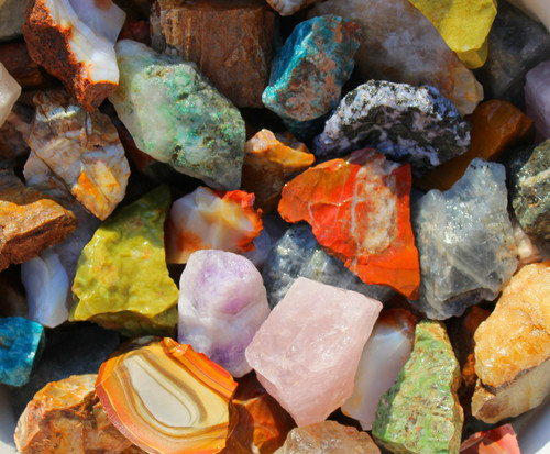 Madagascar mix large 3 - -large, 3"