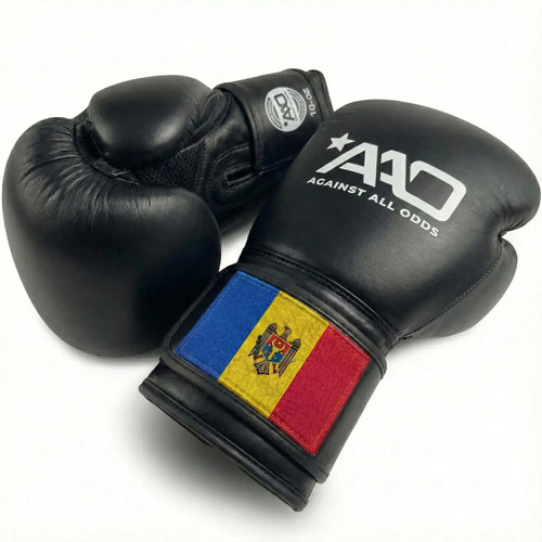 Moldova boxing gloves aao - moldova,