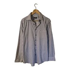 Seidensticker Shirt Striped