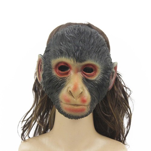 Monkey animal mask fancy - monkey,